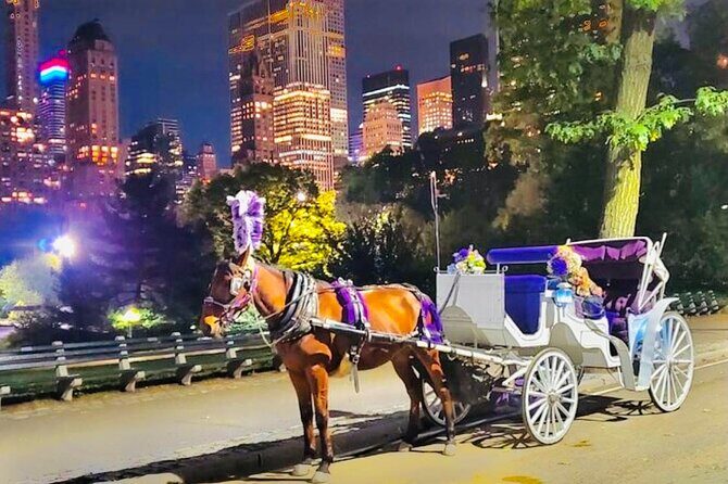 Central Park Moonlight Tour with Photo (45 min) ~ Skip the line - Pricing and Value