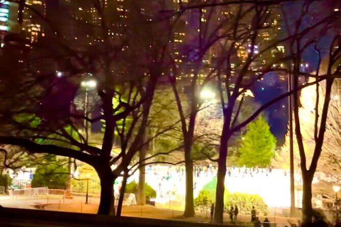 Central Park Moonlight Tour with Photo (45 min) ~ Skip the line - Practical Considerations