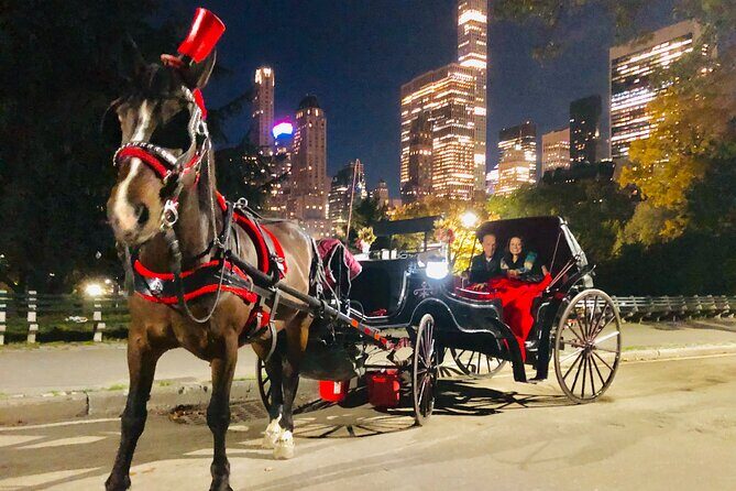 Central Park Moonlight Tour with Photo (45 min) ~ Skip the line - Who Is This Tour Best For?