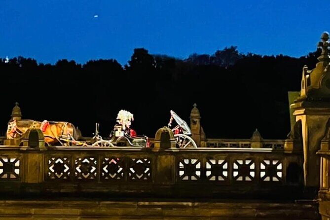 Central Park Moonlight Tour with Photo (45 min) ~ Skip the line - The Sum Up