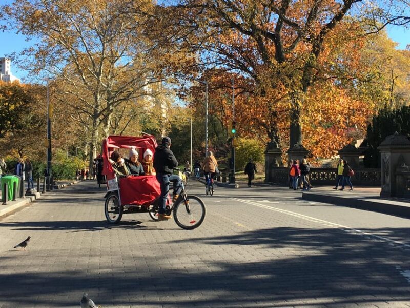 Central Park Movie Locations & Celebrity Homes Tour - Exploring Central Park’s Movie Magic