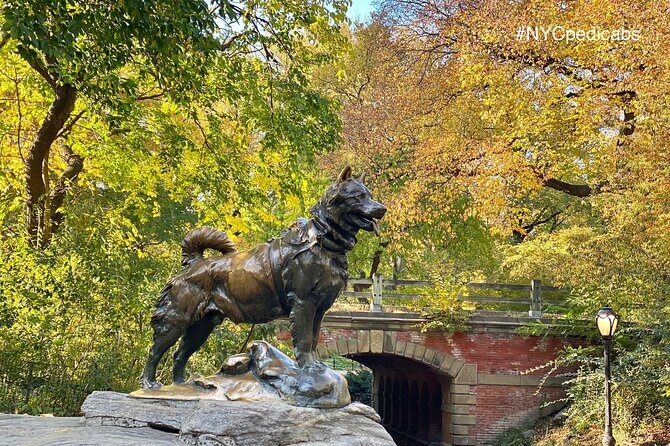 Central Park Pedicab Rickshaw Tours - Final Thoughts