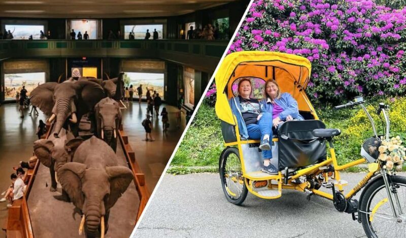 Central Park Pedicab Tour + Optional Natural History Access - The Optional Museum Drop-Off