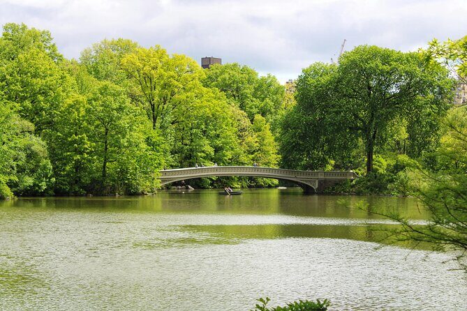 Central Park Pedicab Tour Top Highlights - The Pedicab Experience in Action