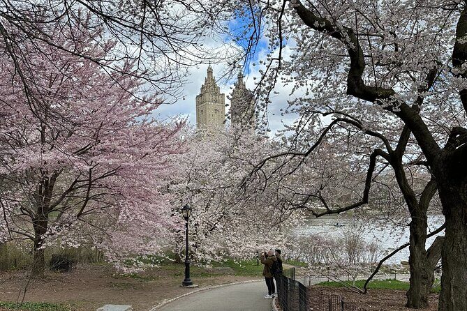 Central Park Private Pedicab Guided Tours - FAQ: Practical Questions Answered