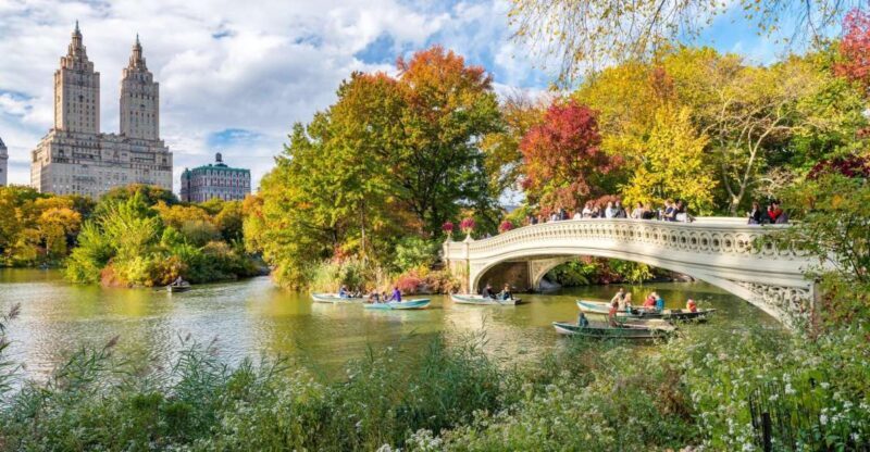 Central Park Private Walking Tour with Transfers - A Closer Look at the Tour: What You Can Expect