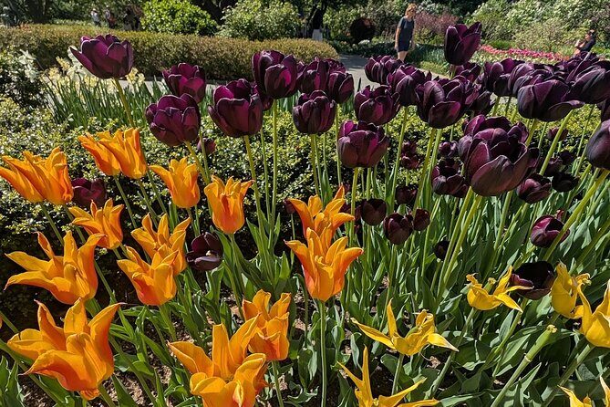 Central Park Sightseeing Guided Hike - Value and Overall Impression