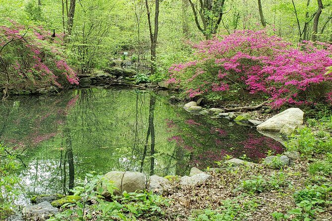 Central Park Walking Tour - FAQs