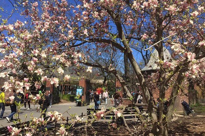 Central Park Walking Tour - FAQ