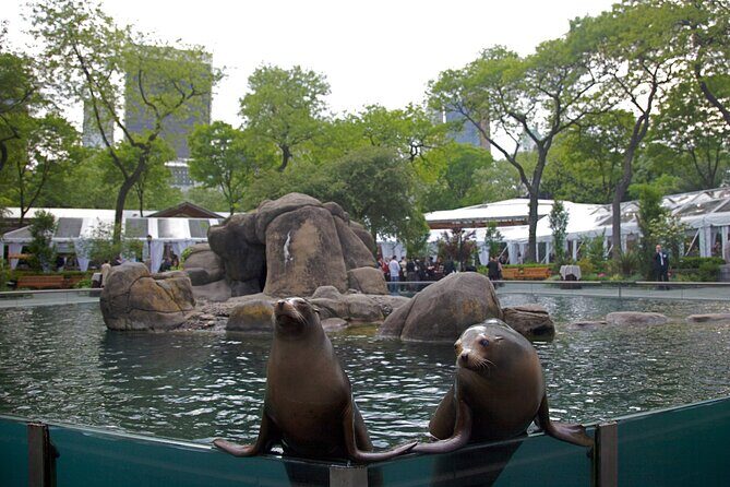 Central Park Wonders And Secrets Shared Walking Tour - Frequently Asked Questions