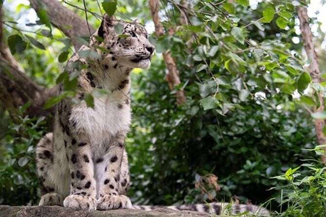 Central Park Zoo Admission Ticket with 4D Theater Access - What to Expect from Your Visit
