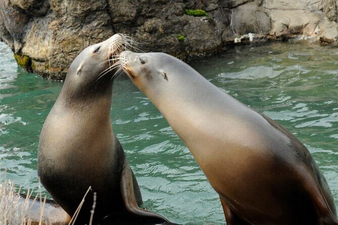 Central Park Zoo Admission Ticket with 4D Theater Access - Practical Tips for Visitors