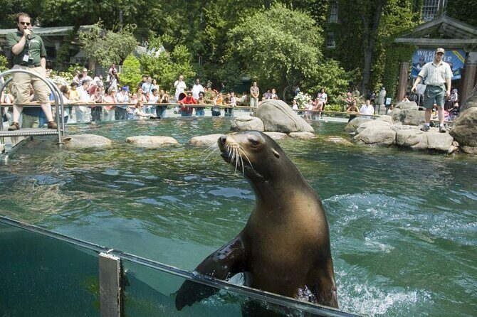 Central Park Zoo and 3hrs Manhattan Walking Tour - Key Points
