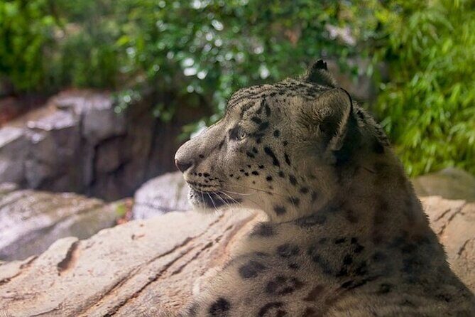 Central Park Zoo and 3hrs Manhattan Walking Tour - An In-Depth Look at the Tour