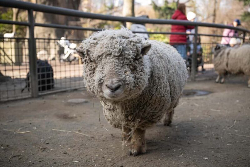 Central Park Zoo Entry Ticket - FAQs