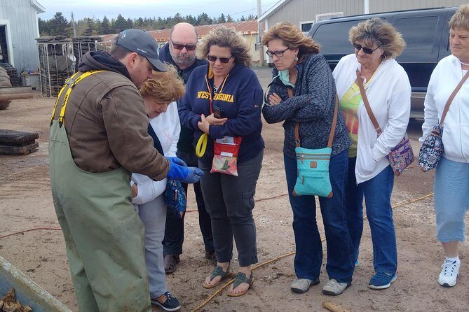 Central PEI Winery, Apiary and Mead Tasting Tour - What Past Travelers Say