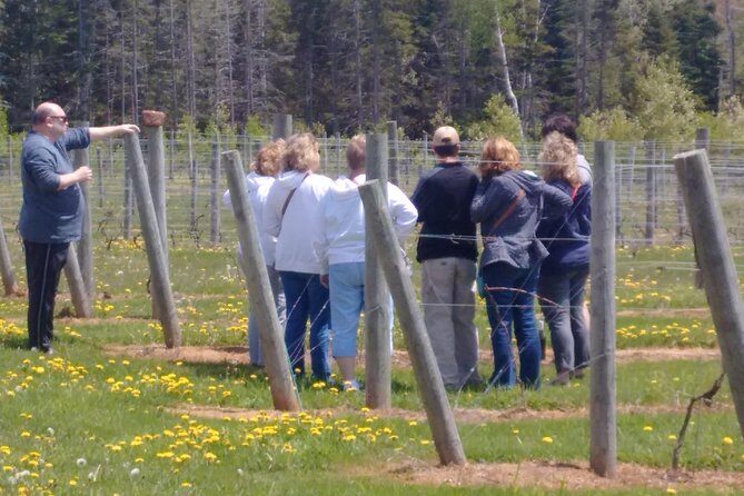Central PEI Winery, Apiary and Mead Tasting Tour - Who Is This Tour Best For?