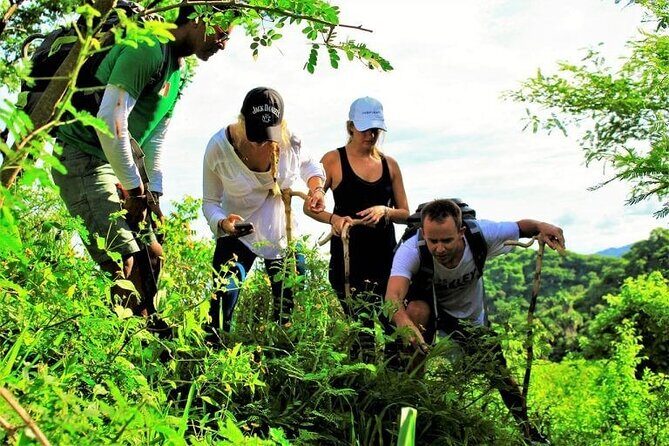 Cerro del Mono Hiking Adventure in Punta Mita - The Experience from Other Travelers’ Perspectives