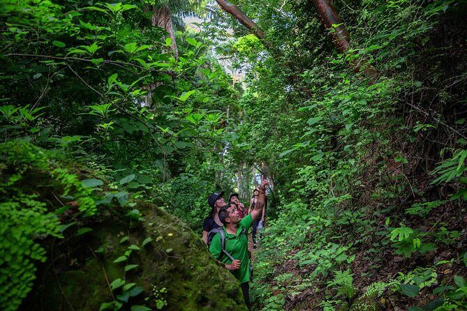 Cerro del Mono Hiking Adventure in Punta Mita - Who Should Book This Tour?