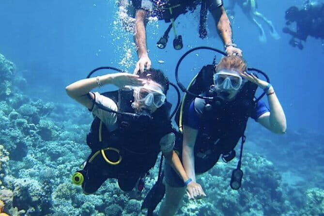 Certified and Beginner Scuba Diving from Pattaya - Who Will Love This Tour?