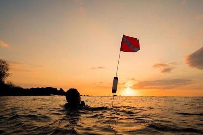 Certified Beach Night Dive - Exploring the Certified Beach Night Dive: A Review of a Unique Hawaii Underwater Experience