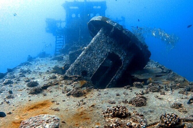 Certified Diver: 2-Tank Deep Wreck and Shallow Reef Dive Off Oahu - Overview of the Experience