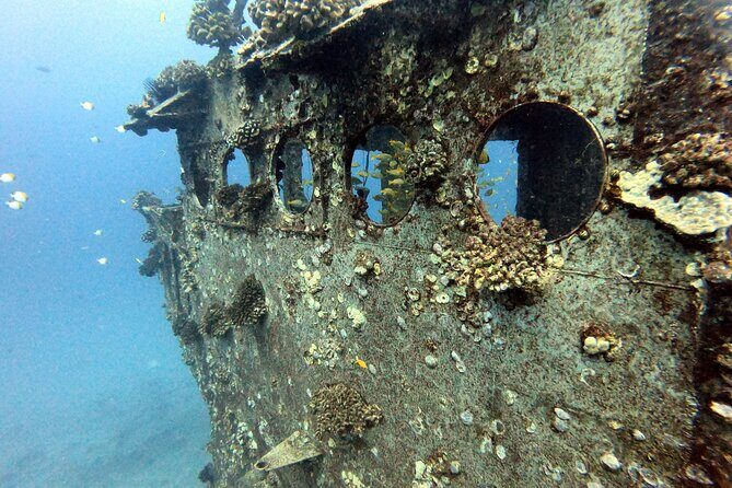 Certified Diver: 2-Tank Deep Wreck and Shallow Reef Dive Off Oahu - Detailed Itinerary and Site Descriptions