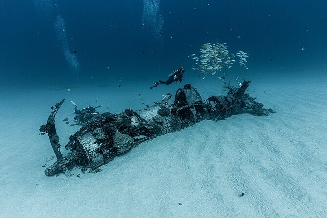 Certified Scuba Diving Experience in Honolulu - An In-Depth Look at the Experience