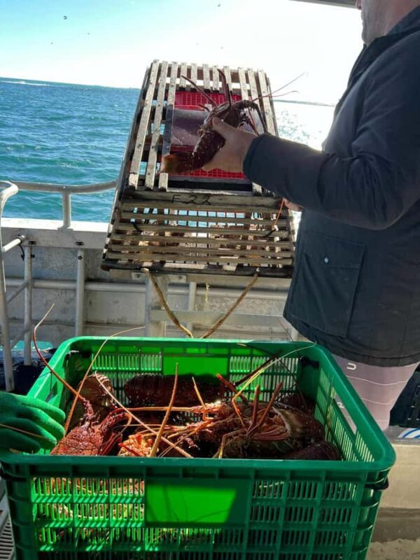 Cervantes: Lobster Catching Tour - Key Points