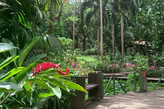 CFC Hot Spring Mud Pool,Garden Of Sleeping Giant And Village Visit Half Day Tour - An In-Depth Look at the Itinerary