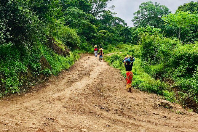 Chagga Villages in Mount Kilimanjaro Cycling Day Trip - An In-Depth Look at the Tour