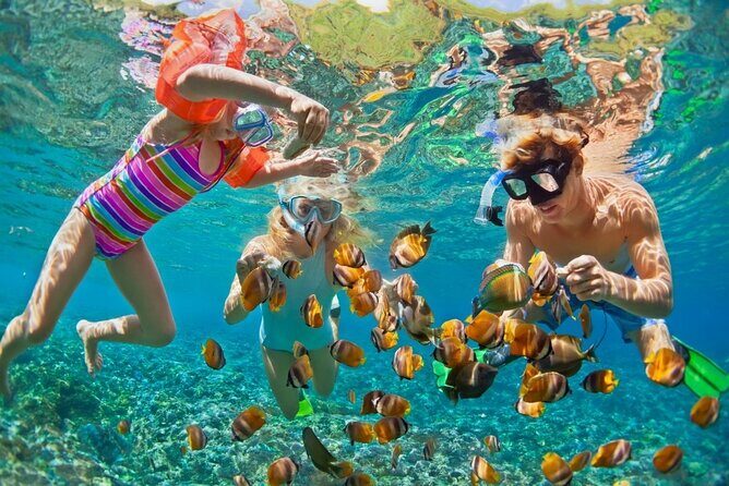 Cham Island Daily-Snorkeling(Optional:Pick up at Cua Dai Port) - Key Points