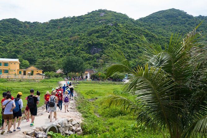 Cham Island Day Tour from Hoi An with Group tour - What You Can Expect from the Cham Island Day Tour