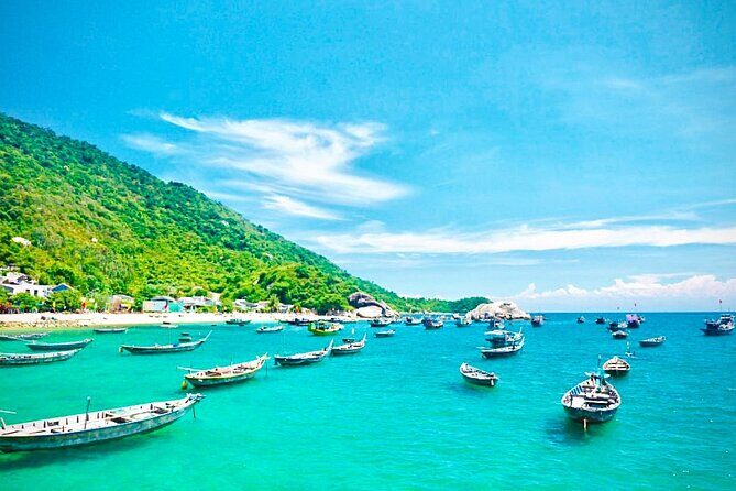 Cham Island Day Tour from Hoi An with Group tour - Final Thoughts