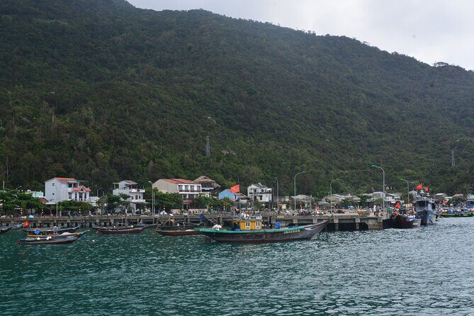 Cham Island Day Tour: Speed Boat, Lunch, Snorkeling & Beach - Final Thoughts: Is It Worth It?