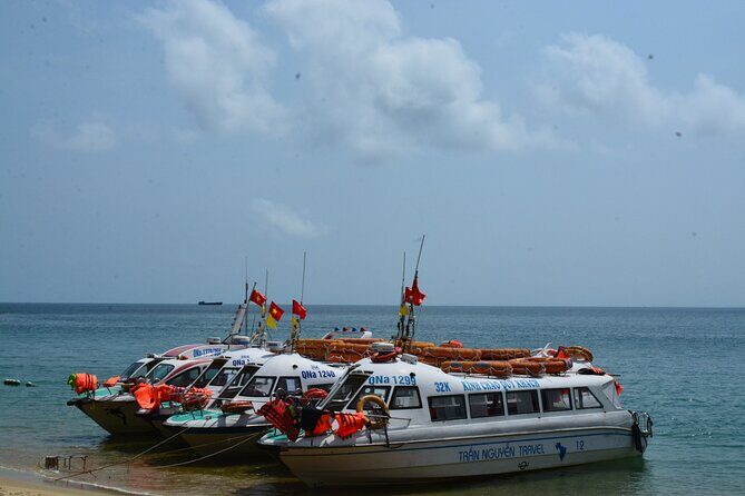 Cham Island Day Tour: Speed Boat, Lunch, Snorkeling & Beach - FAQs