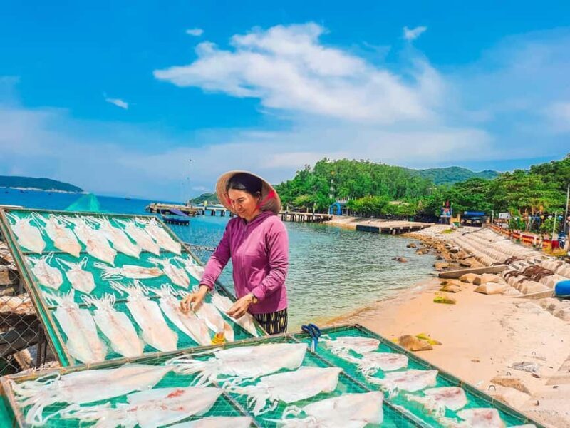 Cham Island: Experience Snorkeling and Lunch In A Day Tour - Key Points