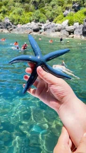Cham Island: Experience Snorkeling and Lunch In A Day Tour - Transportation and Group Size