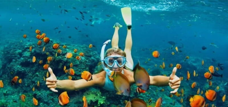 Cham Island Sightseeing & Snorkeling Day Tour from Da Nang - Key Points