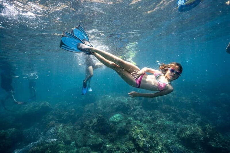 Cham Island Sightseeing & Snorkeling Day Tour from Da Nang - Who Will Enjoy This Tour Most?