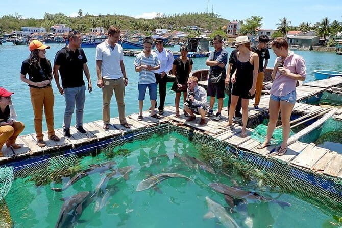 Cham Island Snorkeling Private Tour (Only Snorkeling & Beach) - Why Choose the Cham Island Snorkeling Private Tour?