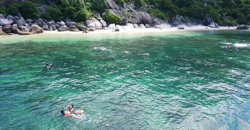 Cham Island: Snorkeling Tour - Key Points