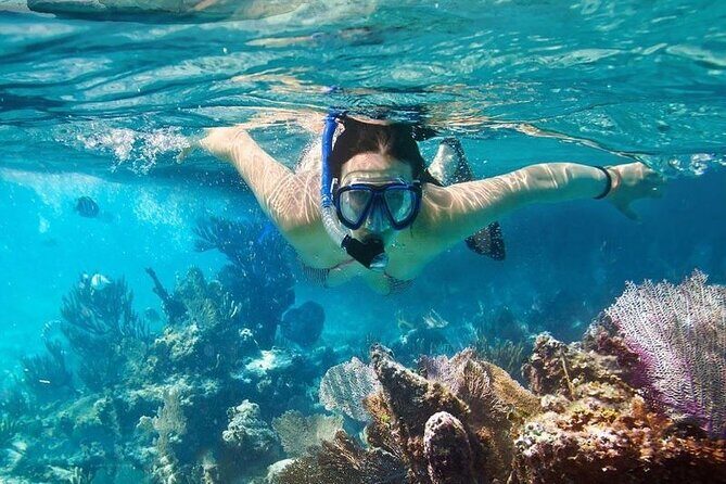 Cham Island Tour Snorkeling -Sunbathing - Nice Beach - Speedboat - In-Depth Look at the Cham Island Tour