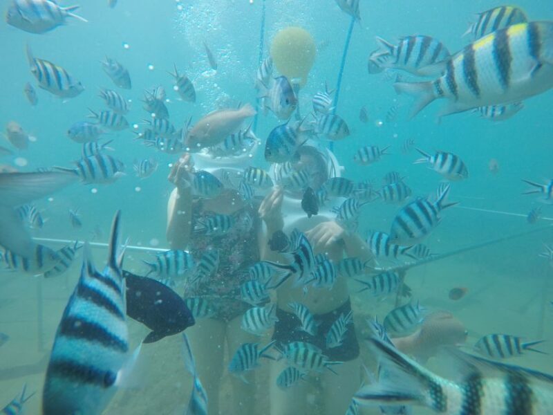 Cham Island: Underwater Walking & Snorkeling Tour - Discover Cham Island: Underwater Walking & Snorkeling Tour