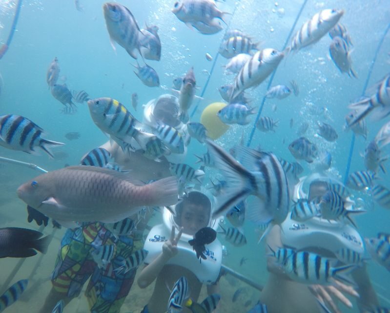 Cham Island: Underwater Walking & Snorkeling Tour - An In-Depth Look at the Cham Island Experience