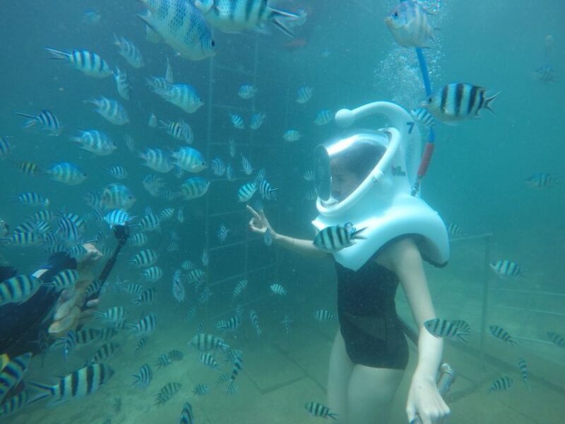 Cham Island: Underwater Walking & Snorkeling Tour - Authentic Experiences and Practical Tips