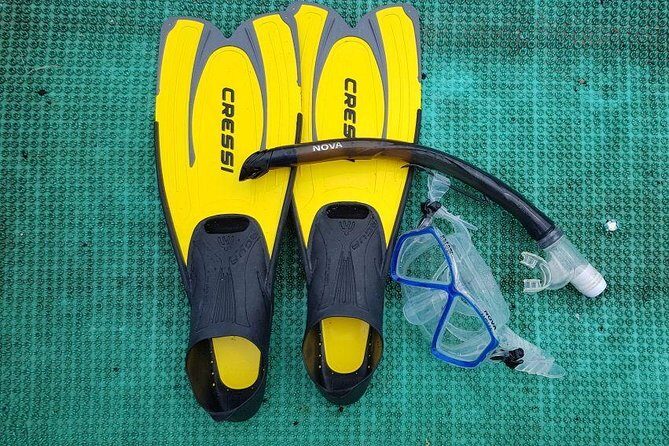 Cham Islands Snorkeling Tour by SpeedBoat from Da Nang - An In-Depth Look at the Tour Experience