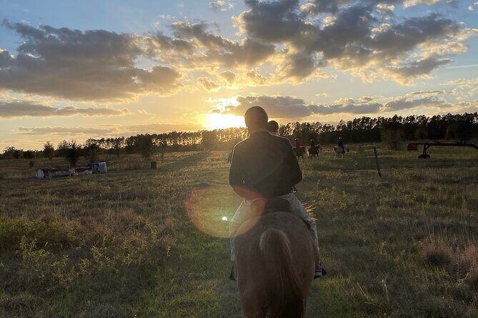 Champagne and Charcuterie Sunset Trail Ride - A Complete Look at the Champagne and Charcuterie Sunset Trail Ride
