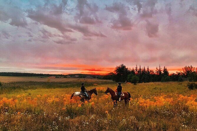 Champagne and Charcuterie Sunset Trail Ride - Key Points