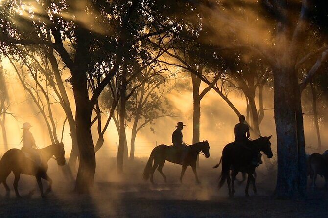 Champagne and Charcuterie Sunset Trail Ride - FAQs